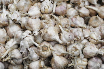 close up of garlic on market stand