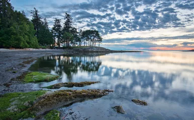 Wall murals Coast Coast at Sunrise with Trees Reflected