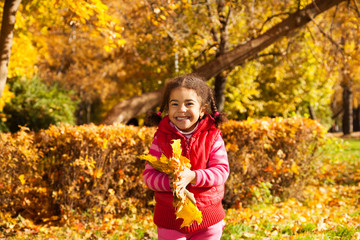 Nice little girl with bunch of yellow leaves