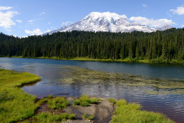 Au Mont Rainier National Park, USA