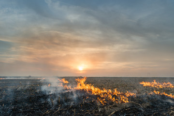 Burning of straw