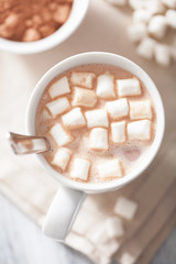 cocoa with mini marshmallows