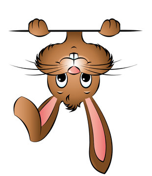 Osterhase lunzt von oben