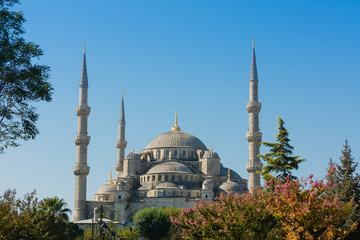 Fototapeta na wymiar Blue Mosque on Istanbul Turkey