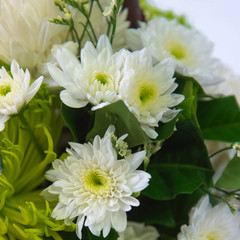 An arrangement of white chrysanthemums in wooden basket