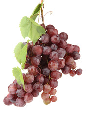 Fototapeta premium ripe sweet grapes isolated on white.