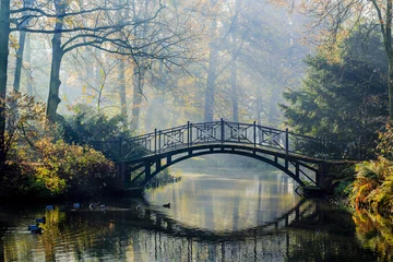 Foto op Canvas Herfst - Oude brug in mistig herfstpark © Gorilla
