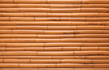New shining bamboo wall horizontal photo texture