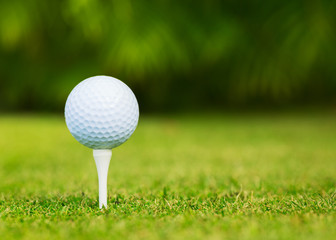 Close up view of golf ball on tee on golf course