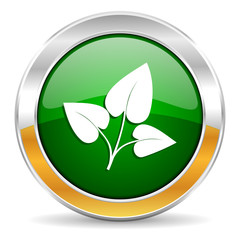 leaf icon