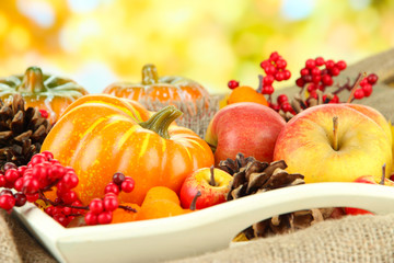 Beautiful autumn composition, on nature background