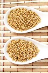 yellow mustard seeds on white ceramic spoon