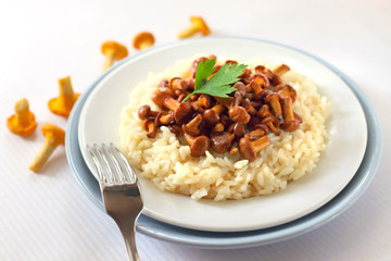 Risotto with chanterelles