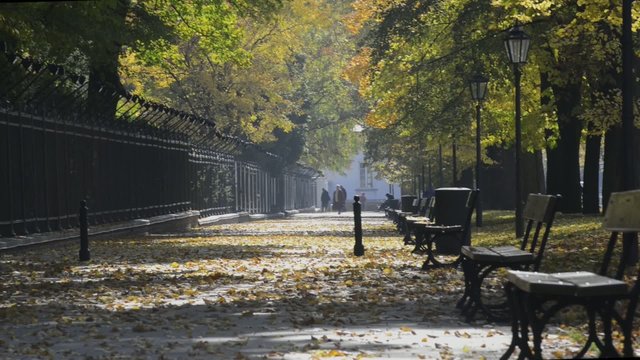 Row of benches during autumn in park Lazienki Krolewskie, Warsaw