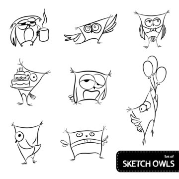 Set of owl sketch
