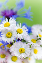 Bouquet of daisies and cornflowers close-up