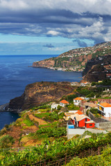 Madeira - obrazy, fototapety, plakaty