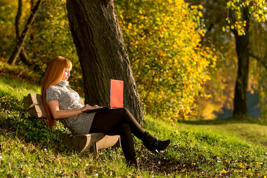 Woman looking at laptop in the quiet autumn forest