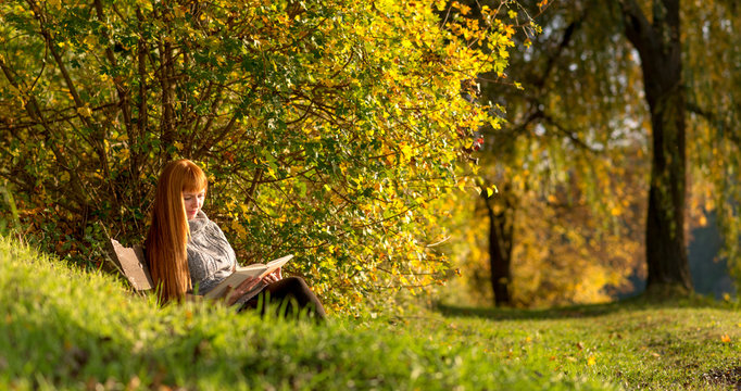 Woman read the book in autumn forest