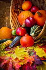 Autumn harvest - Vegetable,fruits on wooden background