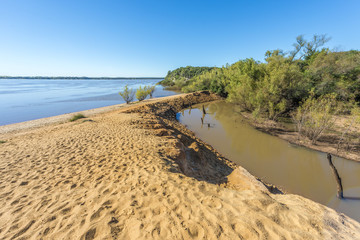 Palms on El Palmar National Park, Argentina