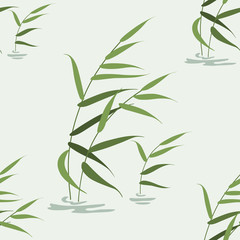 Fototapeta premium Pond reeds