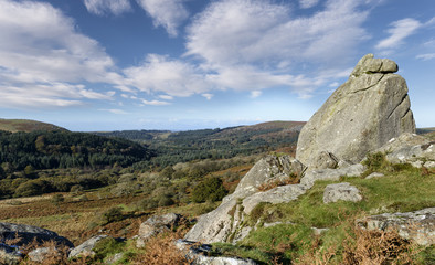 Dartmoor View
