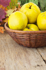 Ripe fruits