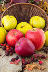 Ripe fruits
