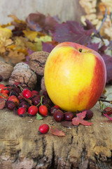 Ripe fruits