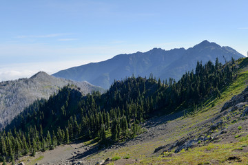 A Olympic National Park, USA