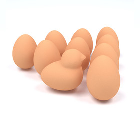 chicken eggs.