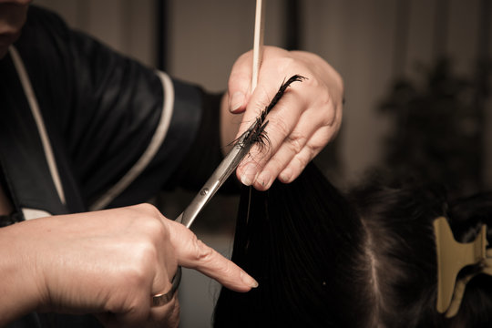 Women's haircut at the barber scissors
