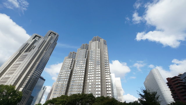 新宿中央公園から東京都庁を見上げる　（微速度撮影）