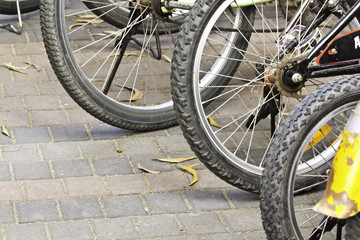 Fototapeta premium wheel of bicycle