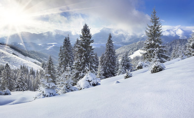 Obraz premium Beautiful winter landscape in the mountains