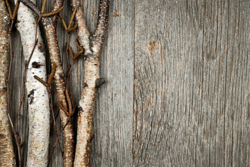 Birch branches background