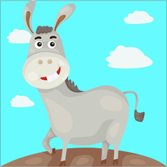 Donkey