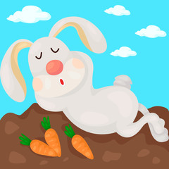 Rabbit