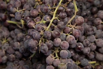 black grapes as background