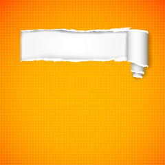 Background in a cage with  torn banner