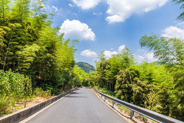 Road through the bamboo forest