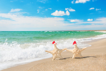 Sea-stars couple in santa hats walking at sea beach. New Years d