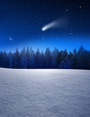 Weihnachtswald © by-studio
