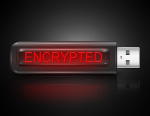 Encryption concept.