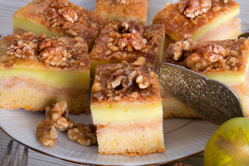 .apple strudel with vanilla pudding and nuts