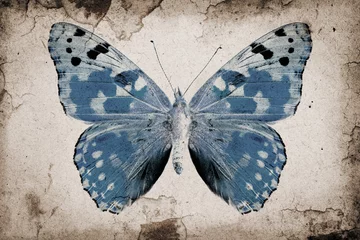 Wall murals Butterflies in Grunge Grunge background