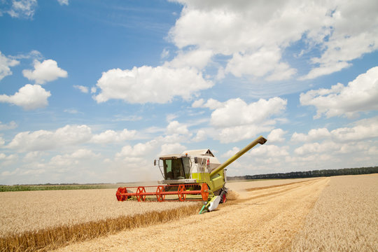 Combine Working On A Wheat Field