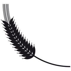 Weizen, Getreide, Getreideähre, Gluten, glutenfreie Ernährung, Getreide in der Ernährung, reich an Kohlenhydraten, Vektor, isoliert