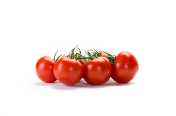 strauchtomaten freigestellt